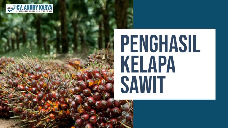 7 Provinsi Penghasil Kelapa Sawit Terbesar di Indonesia