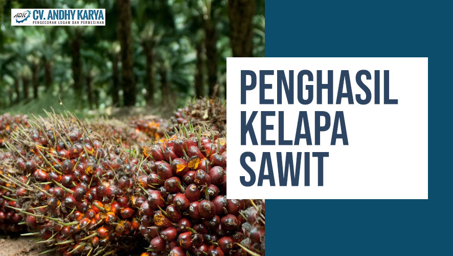 Penghasil Kelapa Sawit